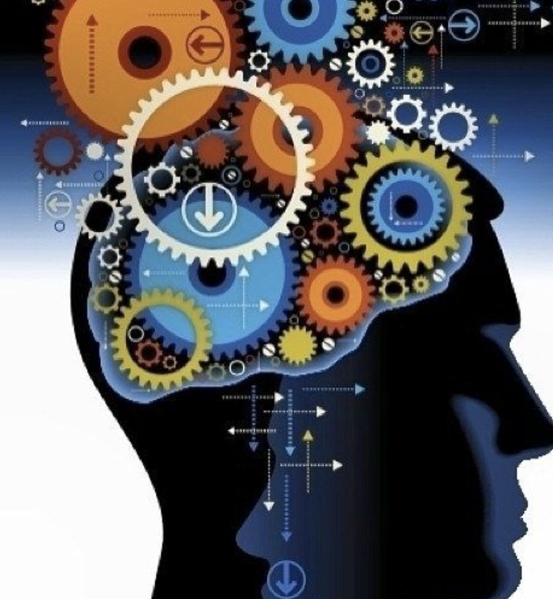 Education And Career
